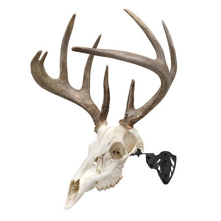 Allen Co EZ Mount Trophy Skull Hanger, Black 7254